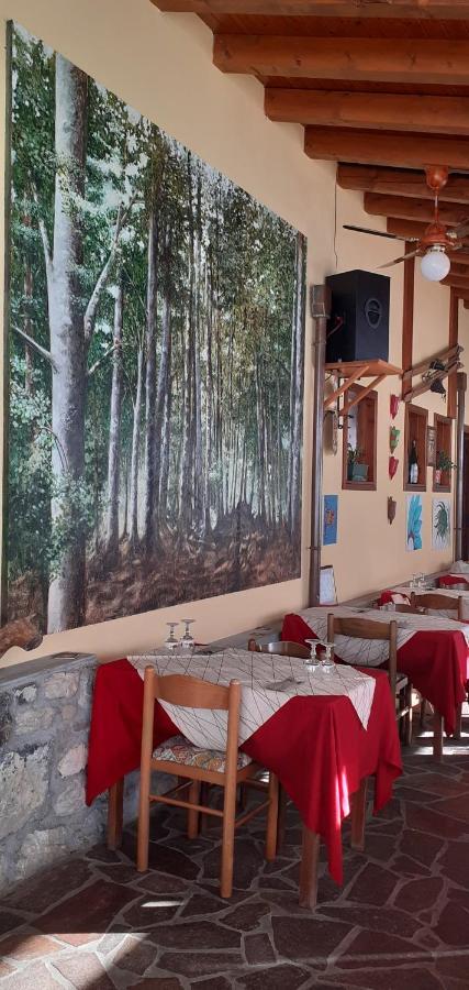 Albergo Nuoitas Forni di Sopra Zewnętrze zdjęcie