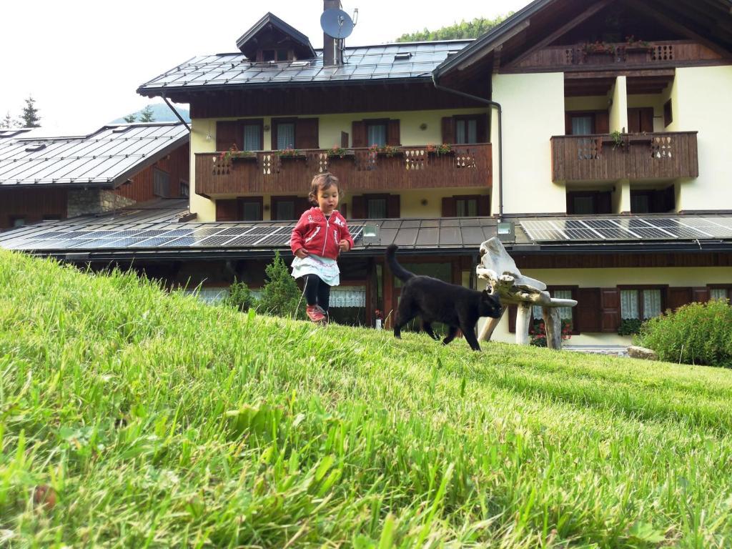 Albergo Nuoitas Forni di Sopra Zewnętrze zdjęcie